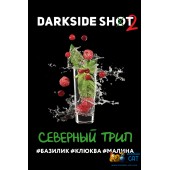 Табак Dark Side Shot 24 Малина Клюква Базилик (Северный Трип) 25г Табак Dark Side Shot 24 Малина Клюква Базилик (Северный Трип) 25г